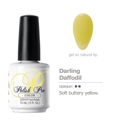 Darling Daffodil